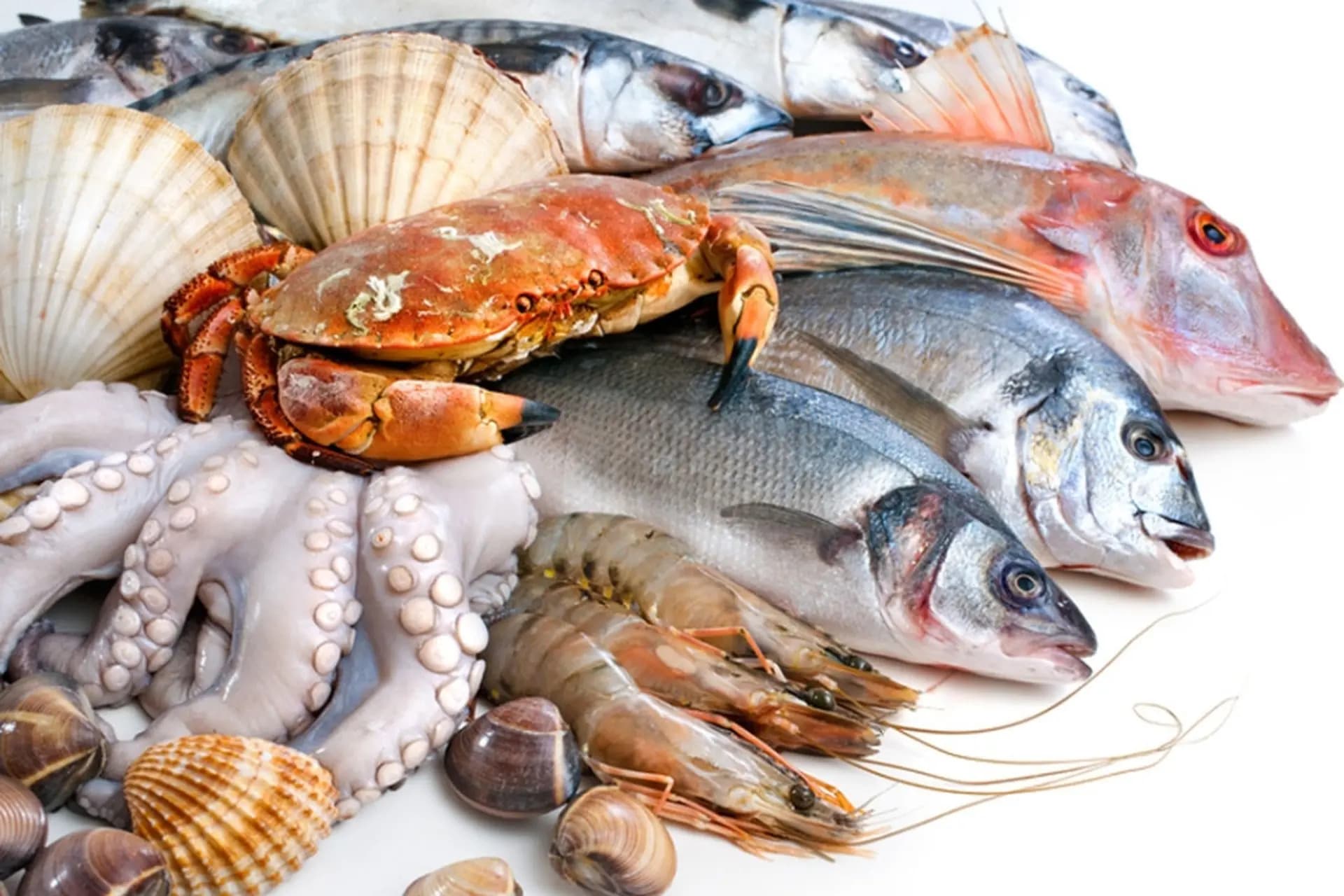 Sản phẩm hải sản chất lượng cao